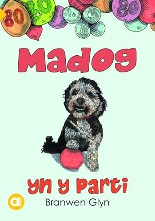 Cyfres Amdani: Madog yn y Parti cover image