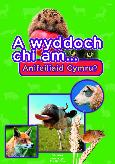 Cyfres a Wyddoch Chi: A Wyddoch Chi am Anifeiliaid Cymru? *