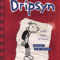 Dyddiadur Dripsyn *