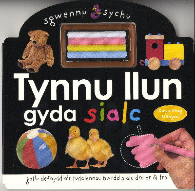 Sgwennu a Sychu: Tynnu Llun gyda Sialc