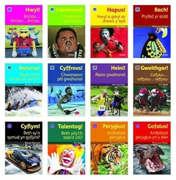 Pecyn Darllen Difyr 2 (Welsh Edition) cover image