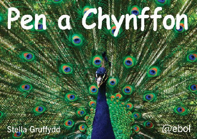 Pen a Chynffon - Pecyn Llythrennedd Cardiau&