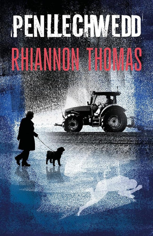 Penllechwedd cover image