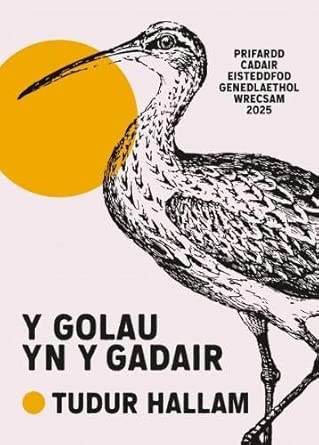 Y Golau yn y Gadair cover image