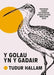Y Golau yn y Gadair cover image