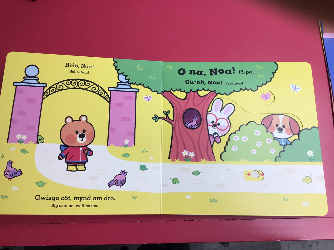 O Na, Noa: Y Parc / Uh-Oh, Niko: The Park