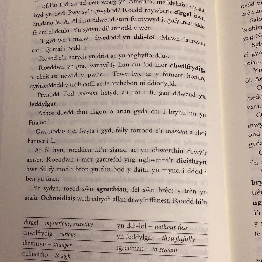 Cyfres Amdani: Daith, Y - StorÃ¯au i Ddysgwyr gan Ddysgwyr