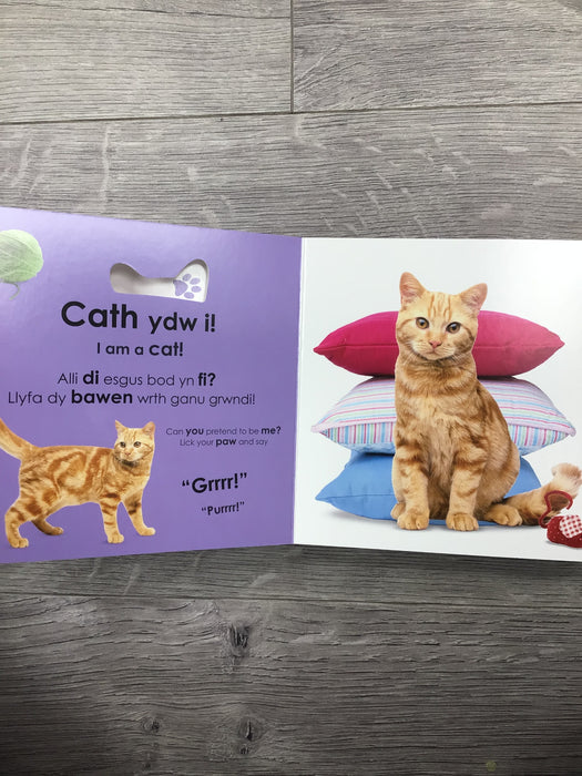 Pwy ydw i? Anifeiliaid Anwes / Who Am I? Pets