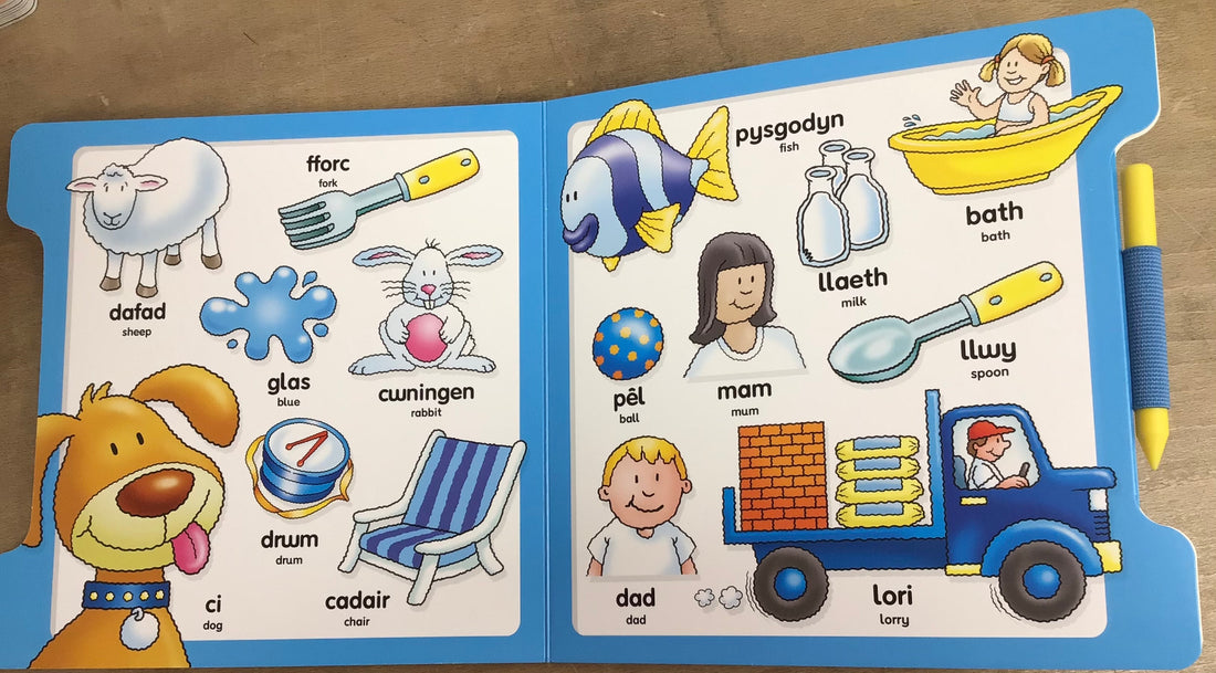 Fy Llyfr Ysgrifennu Hud/My Magic Writing Book: Ysgrifennu Geiriau Cyntaf/Writing My First Words