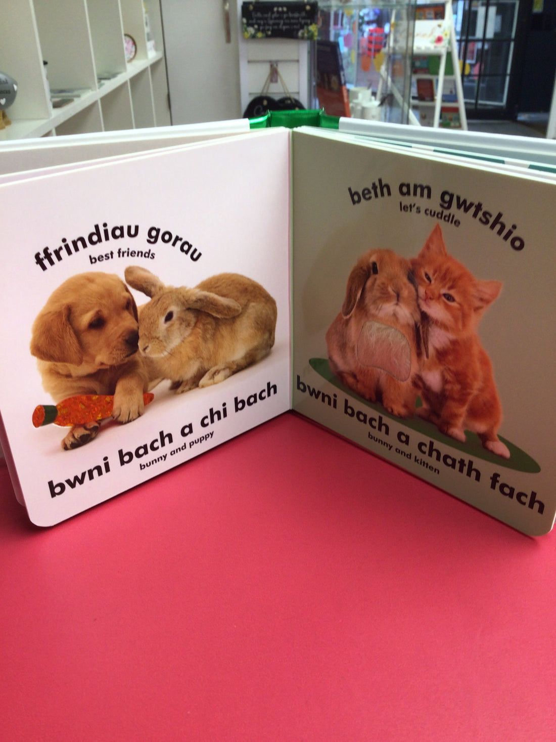 Babi Cyffwrdd a Theimlo: Bwni Bach / Baby Touch and Feel: Bunny