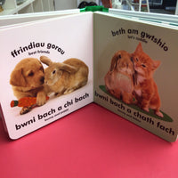 Babi Cyffwrdd a Theimlo: Bwni Bach / Baby Touch and Feel: Bunny