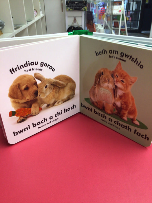 Babi Cyffwrdd a Theimlo: Bwni Bach / Baby Touch and Feel: Bunny