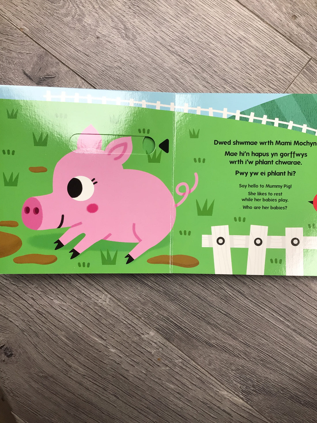 Croeso, anifeiliaid bach y fferm! / Welcome! Little Farm Animals