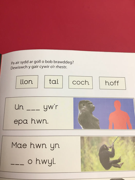 Dyna Chi Dric: Epa *