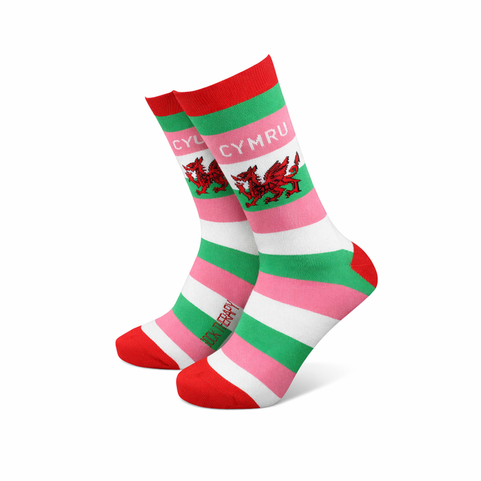 Bamboo Gift Socks - Cymru (striped) - Women's