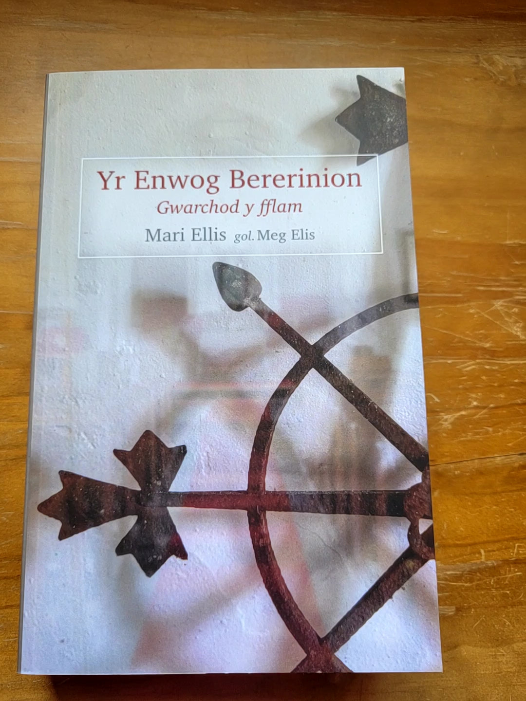 Yr Enwog Bererinion: Gwarchod y Fflam - Mari Ellis