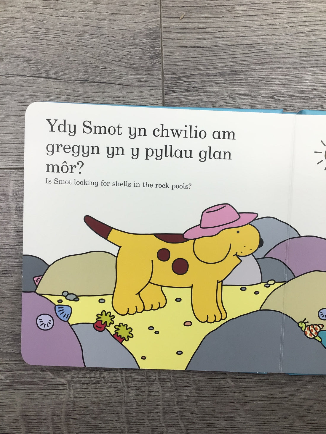 Chwilia am Smot ar y Traeth / Find Smot at the Beach: Find Smot at the Beach