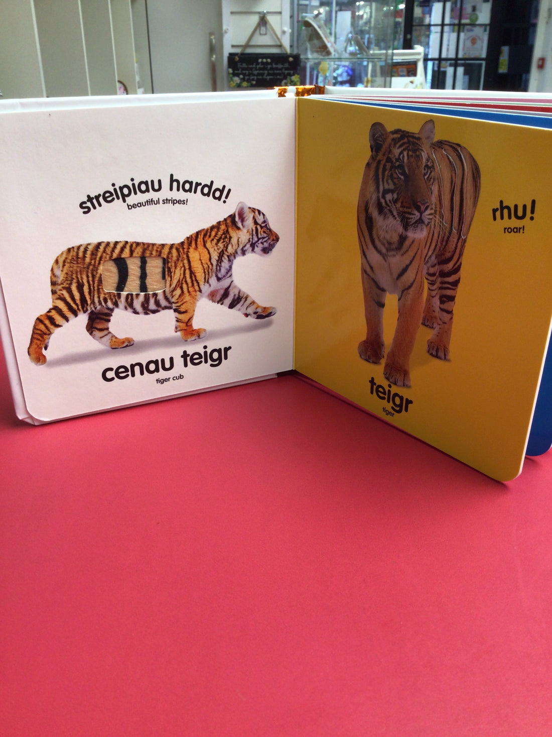 Babi Cyffwrdd a Theimlo: Rhuo! Rhuo! / Baby Touch and Feel: Roar! Roar!