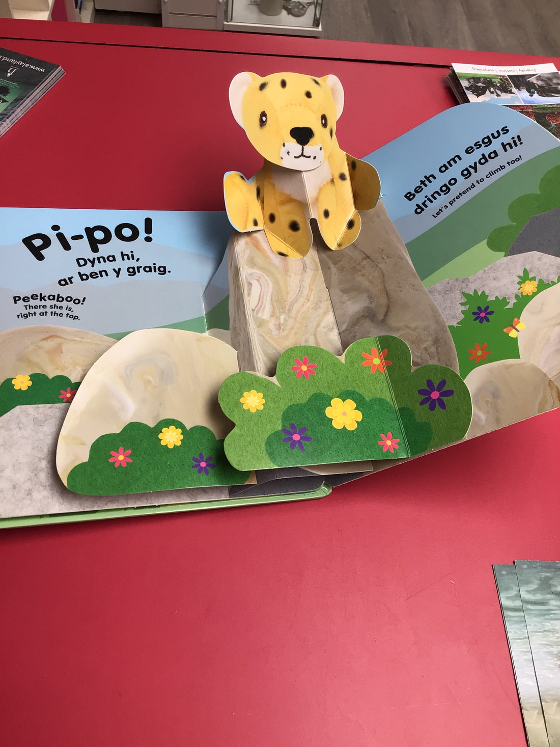 Codi Fflap Pi-po Mwnci