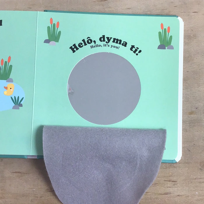 Chwarae a Chwilio: Ar y Fferm / Hide and Seek: On the Farm