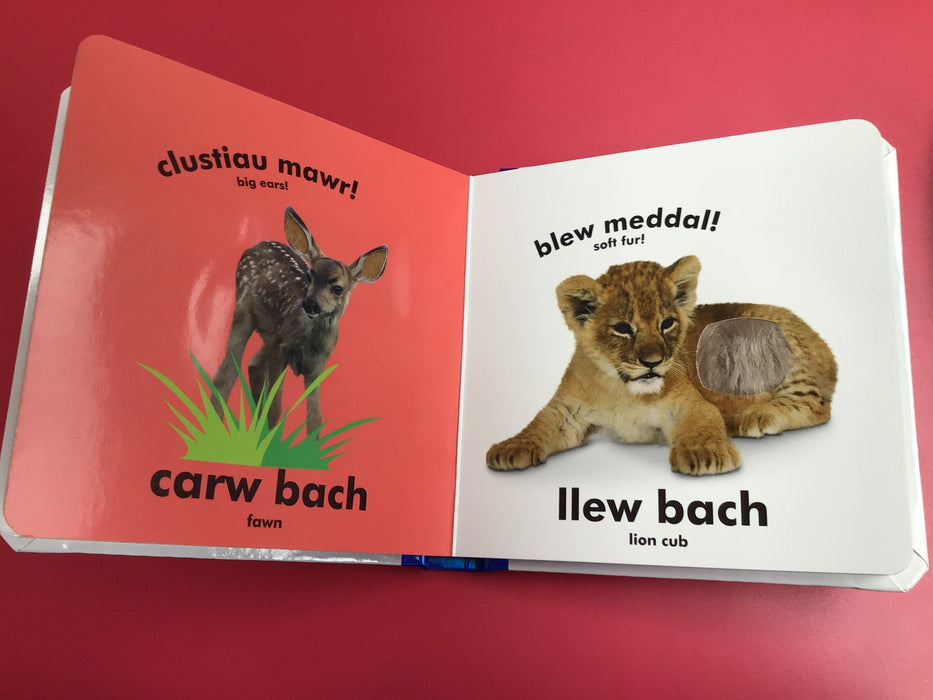 Babi Cyffwrdd a Theimlo: Babis Anifeiliaid / Baby Touch and Feel: Baby Animals