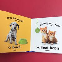 Babi Cyffwrdd a Theimlo: Babis Anifeiliaid / Baby Touch and Feel: Baby Animals