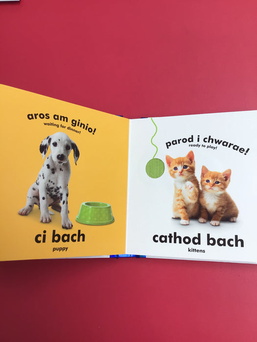 Babi Cyffwrdd a Theimlo: Babis Anifeiliaid / Baby Touch and Feel: Baby Animals