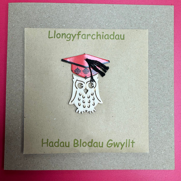 Congratulations card 'Llongyfarchiadau' handmade with wild flower seeds - wise owl
