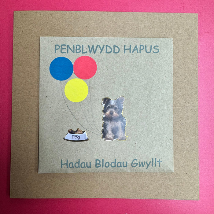 Birthday card 'Penblwydd Hapus' handmade with wild flower seeds - dog & balloons