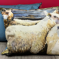 Sheep Collection: Cushion