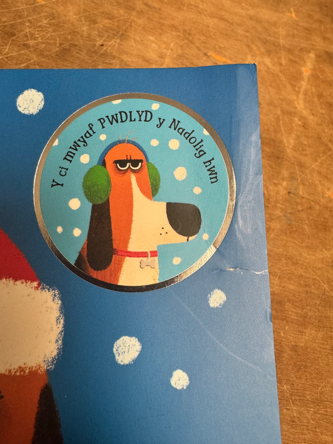 Nadolig Llawen, Sam / Merry Christmas, Sam *