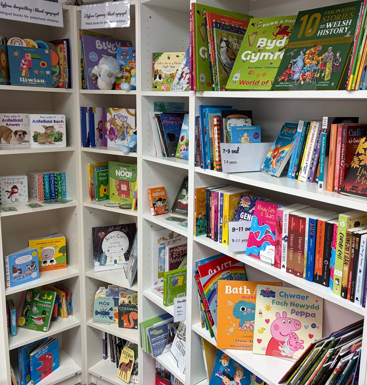 Not sure what to choose? We’ll help 💛