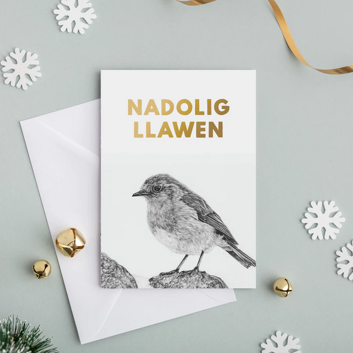 Welsh Christmas card 'Nadolig Llawen' Robin - Lleucu Howatson