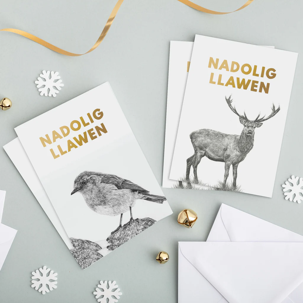 Nadolig Llawen Welsh Christmas Card Set of 4 Nadolig Llawen - Lleucu Howatson