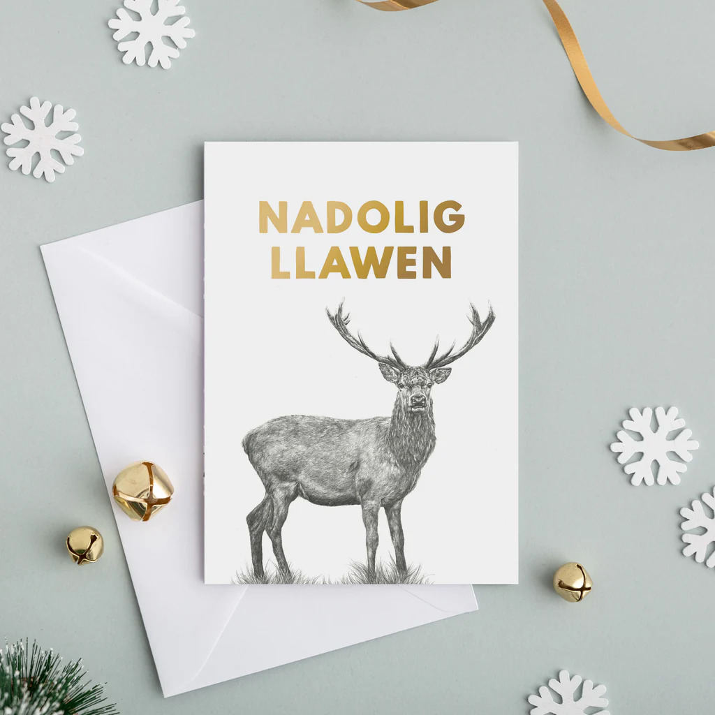 Nadolig Llawen Welsh Christmas Card Set of 4 Nadolig Llawen - Lleucu Howatson
