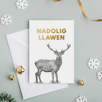 Nadolig Llawen Welsh Christmas Card Set of 4 Nadolig Llawen - Lleucu Howatson