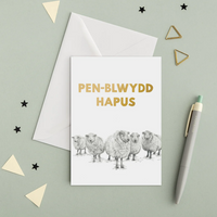 Pen-blwydd Hapus Welsh Birthday Card Set of 4 - Lleucu Howatson