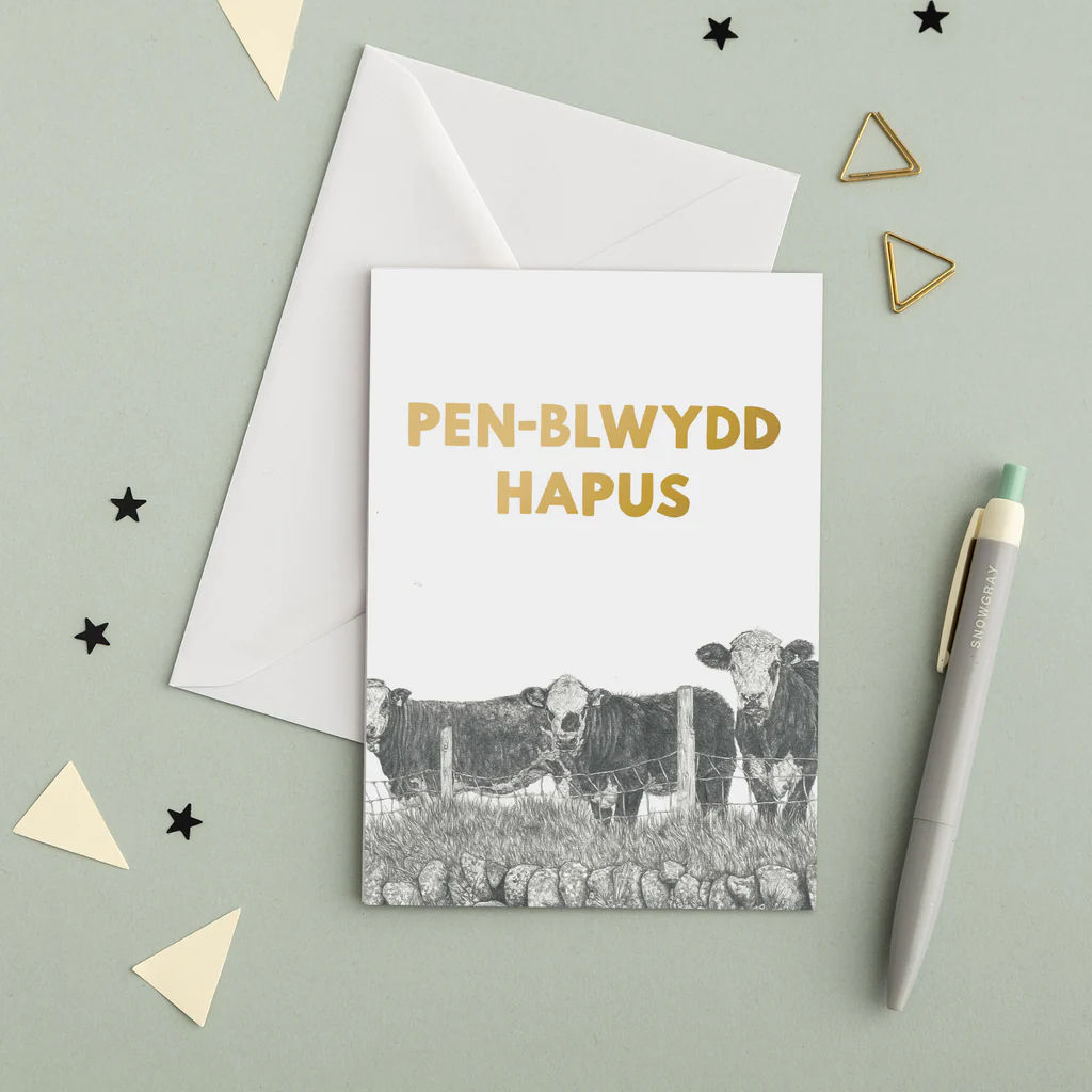 Pen-blwydd Hapus Welsh Birthday Card Set of 4 - Lleucu Howatson