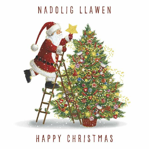 Bilingual charity Christmas cards &