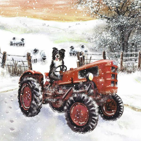 Bilingual charity Christmas cards 'Shep on a Tractor' pack of 10