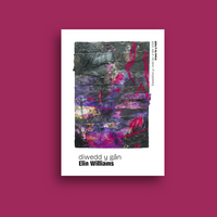 Diwedd y GÃ¢n â€“ Elin Williams