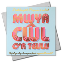 Welsh Birthday card 'Penblwydd Hapus i'r aelod mwya cÅµl o'r teulu...' foil, coolest member of family