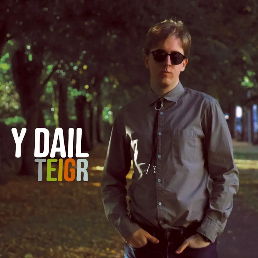 Y Dail - Teigr