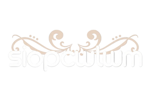 Siop Cwlwm