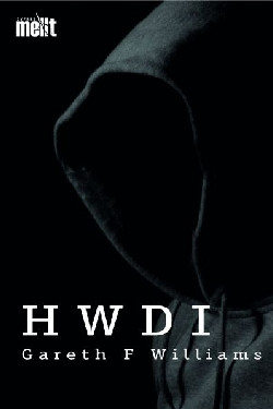 Cyfres Mellt: Hwdi +