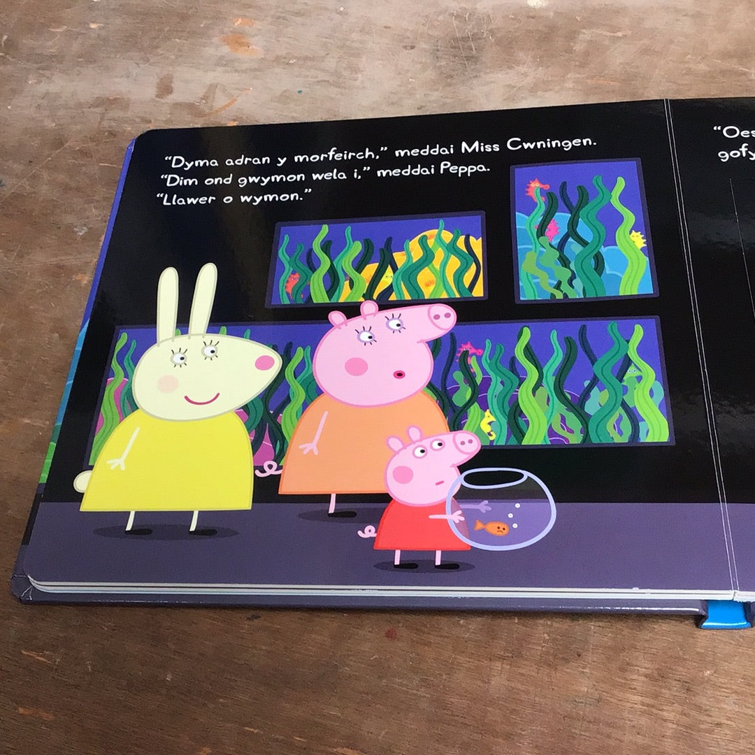 Cyfres Peppa Pinc: Peppa yn y Sw MÃ´r