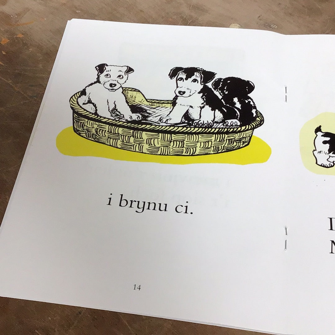 Cyfres Darllen Stori: Morgan a Magi Ann
