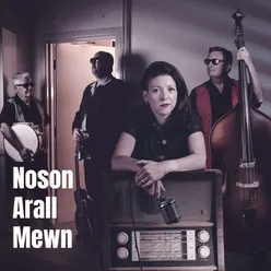 Pwdin Reis - Noson Arall Mewn
