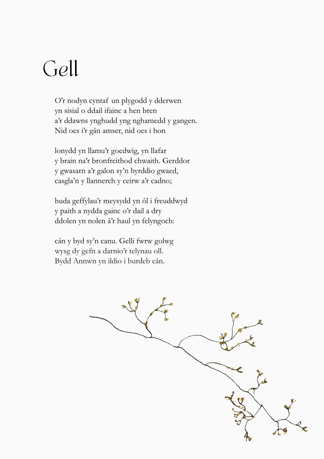GNE - Morgan Owen