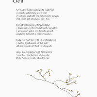 GNE - Morgan Owen